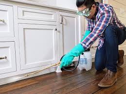 Best Residential Pest Control  in Columbia, CA